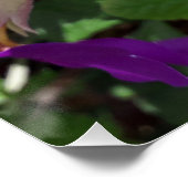 Paarse tuinbloemen perfect poster (Hoek)