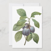 Paarse tuinplammen door Redoute-uitnodiging (Voorkant)