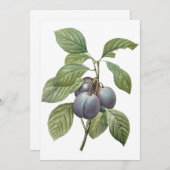 Paarse tuinplammen door Redoute-uitnodiging (Voorkant / Achterkant)