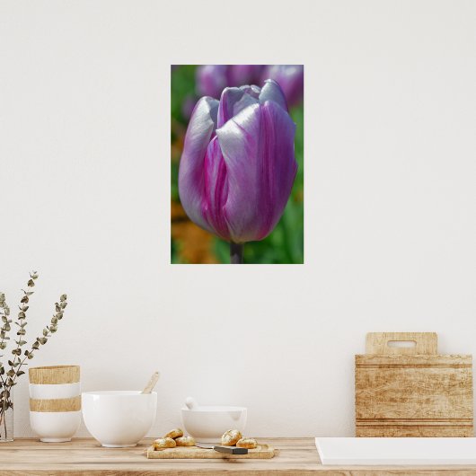 Paarse Tulip Art Poster (Keuken)