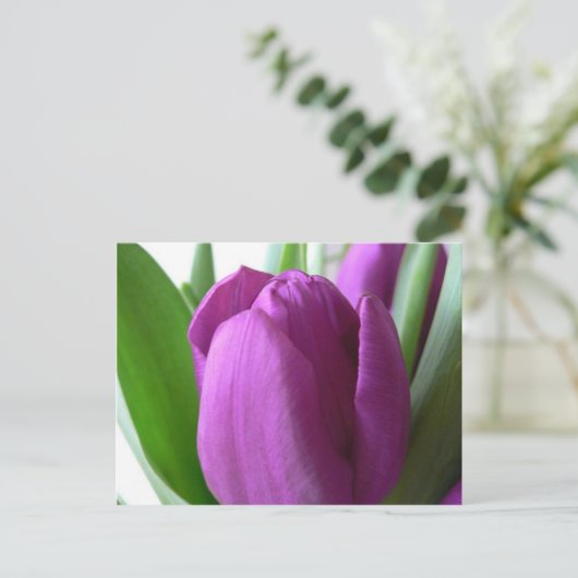 Paarse Tulip Briefkaart (Staand voorkant)