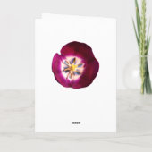 Paarse Tulip Dank je Kaart (Achterkant)