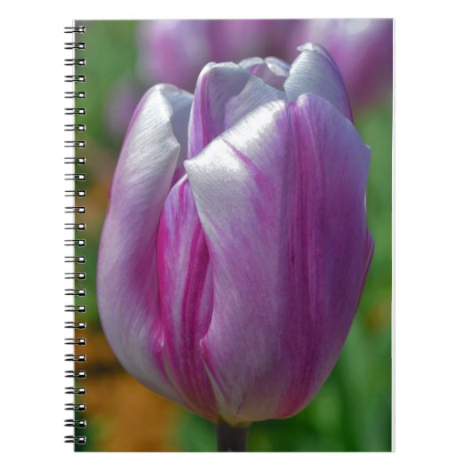  Paarse Tulip Flower Art Journal Notitieboek (Voorkant)