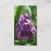 Paarse Tulip Flower Visitekaartje fotografie (Achterkant)