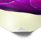 Paarse Tulip Foto Afdruk (Hoek)