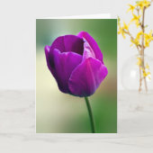 Paarse Tulip Kaart (Gele Bloem)