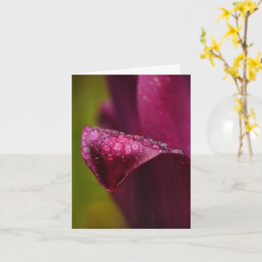 Paarse Tulip Kaart (Gele Bloem)