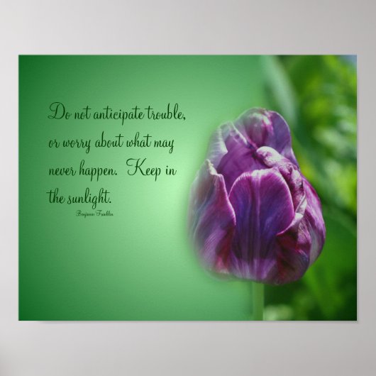 Paarse Tulip Life Attitude Quote Inspirerend Poster (Voorkant)