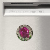 Paarse Tulip magnet (Insitu (Vaatwasser))