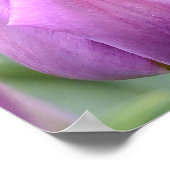 Paarse Tulip Poster (Hoek)