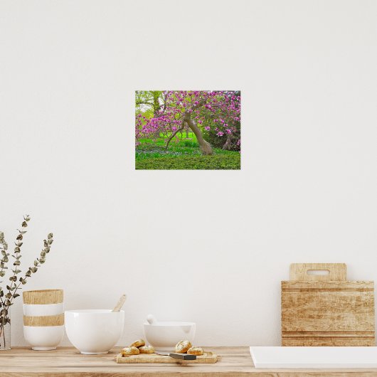 "PAARSE TULIP TREE IN SPRING" (FOTOG) POSTER (Keuken)