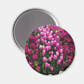 Paarse Tulips Garden Bed Magneet (Voorkant / Achterkant)