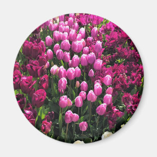 Paarse Tulips Garden Bed Magneet