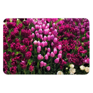 Paarse Tulips Garden Bed Magneet