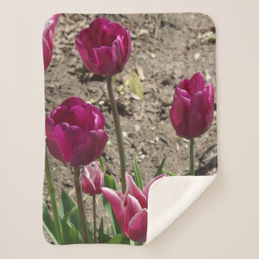 Paarse Tulips sherpa blankert Deken (Voorkant)