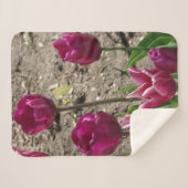 Paarse Tulips sherpa blankert Deken (Voorkant (horizontaal))