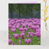 PAARSE TULIPS-STROMEN BIRTHDAAG GROTE KAARTEN (Gele Bloem)