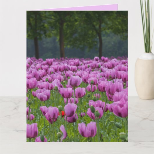 PAARSE TULIPS-STROMEN BIRTHDAAG GROTE KAARTEN (Voorkant)