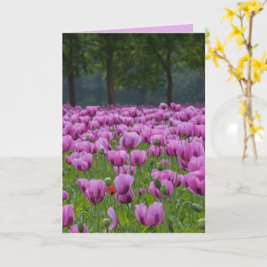 PAARSE TULIPS SYMPATHIE CONDOLENCES KAARTEN (Gele Bloem)