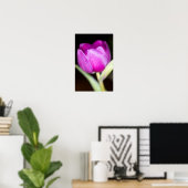 Paarse tulp bloem Poster (Thuiskantoor)
