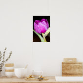 Paarse tulp bloem Poster (Keuken)