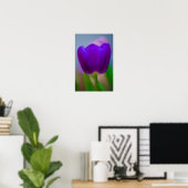 Paarse tulp bloem Poster (Thuiskantoor)