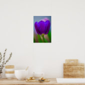 Paarse tulp bloem Poster (Keuken)
