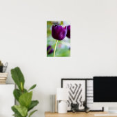 Paarse tulp bloem Poster (Thuiskantoor)