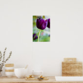 Paarse tulp bloem Poster (Keuken)
