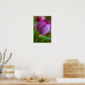 Paarse tulp bloem Poster (Keuken)