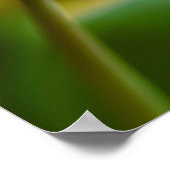 Paarse tulp bloem Poster (Hoek)