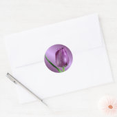 paarse tulp met regendruppels ronde sticker (Envelop)