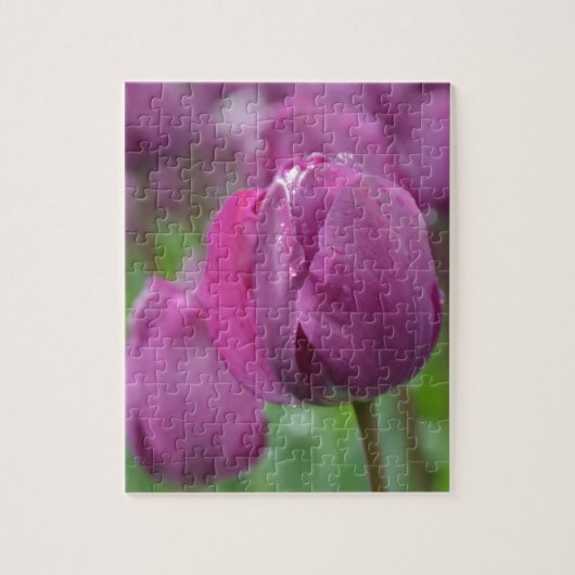 Paarse Tulp met waterdruppels Legpuzzel (Verticaal)