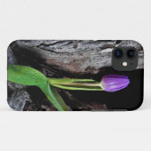 paarse tulp op driftwood Case-Mate iPhone case (Achterkant (horizontaal))