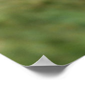 Paarse tulp poster (Hoek)