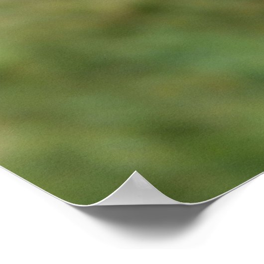 Paarse tulp poster (Hoek)