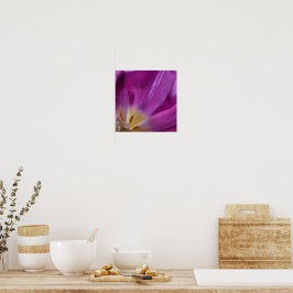 Paarse Tulp Print Bloeiend
