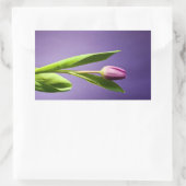 Paarse tulp rechthoekige sticker (Tas)