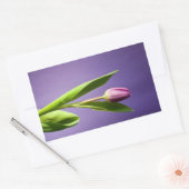Paarse tulp rechthoekige sticker (Envelop)