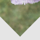 Paarse tulp tissuepapier (Detail)