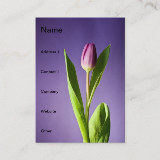 Paarse tulp visitekaartje (Voorkant)