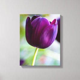 Paarse tulpbloem Canvas druk