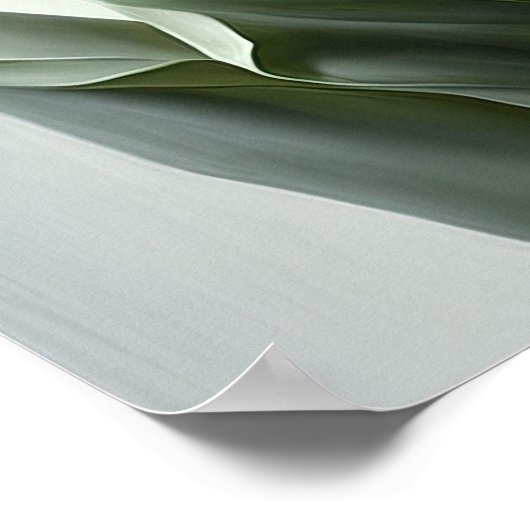 Paarse Tulpen Bloemenkunst Print Poster (Hoek)