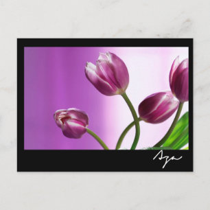 paarse tulpen briefkaart