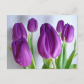 Paarse Tulpen Briefkaart (Voorkant)