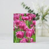 Paarse Tulpen Briefkaart (Staand voorkant)