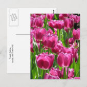 Paarse Tulpen Briefkaart (Voorkant / Achterkant)