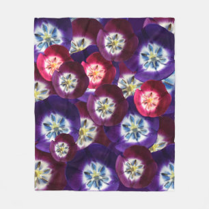 Paarse tulpen Close-up foto patroon deken