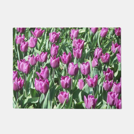  Paarse Tulpen Deurmat (Voorkant)