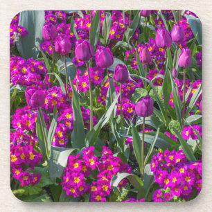 Paarse tulpen en sleutelbloemen harde plastic bier onderzetter